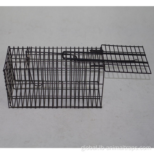 China Single Door Trapping Wild Life Wire Animal Trap Supplier